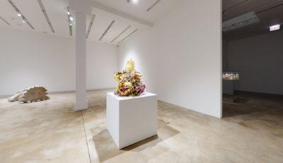 Art Gallery