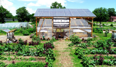 Sweetwater Foundation – Urban Farm in Chicago