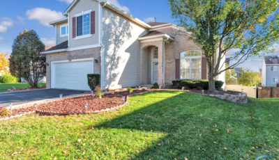 547 Kingsbrooke Crossing Bolingbrook, IL