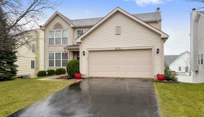 875 Teasel Lane, Aurora, IL