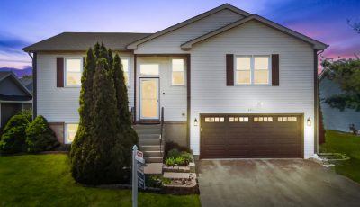 233 Homewood Lane Bolingbrook, IL