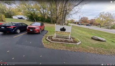 Pet Kennel Drone Fly Through