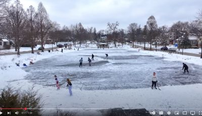 Prince Pond Downers Grove